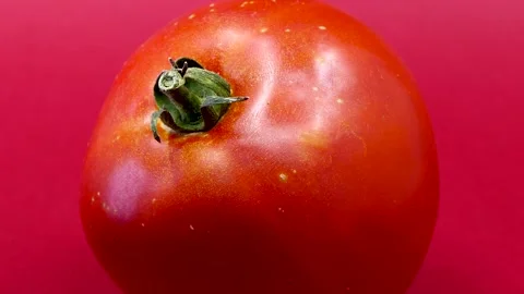 Red tomato on a red background Video stock 251163228