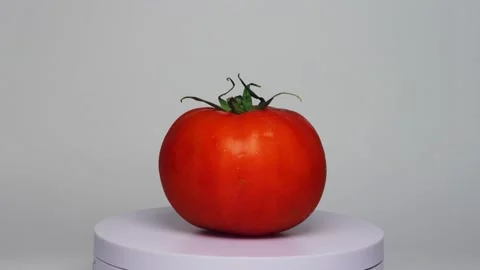 Red tomato spinning on turn table with white backround 스톡 동영상 182553521