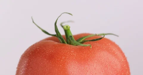 Red tomato. Two Close Up Macro Shots Stock Footage 128947732