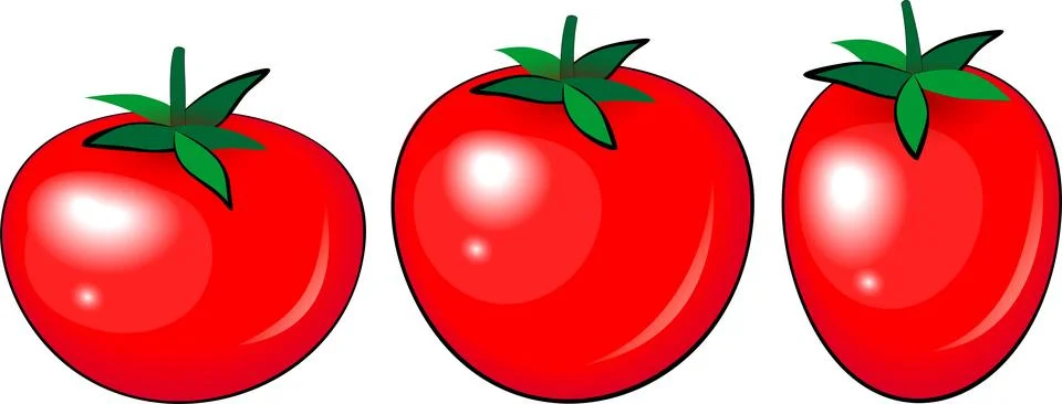 Red tomato vector illustration, different shape Stock Illustration