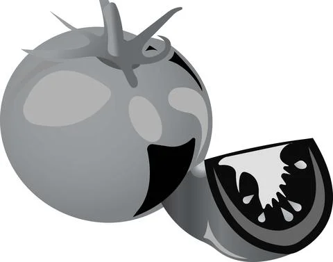 Red tomato. Vector illustration isolated on white background. 스톡 일러스트