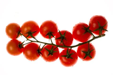 Red tomato vegetable with cut isolated on white background Stock Photos