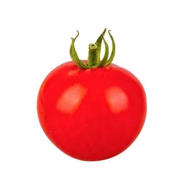 Red tomato on a white background 스톡 사진