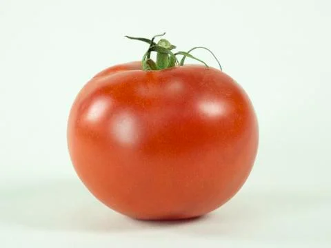 Red Tomato on White Background Foto stock