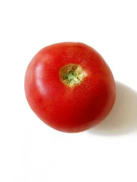 Red tomato on white background Stock Photos