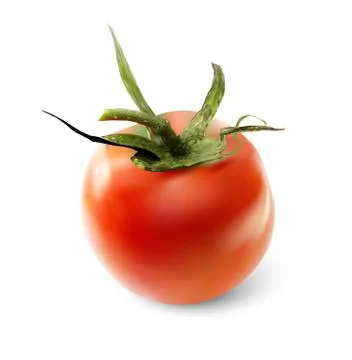 Red tomato on a white background. Vector illustration Illustrazione stock