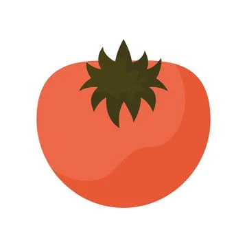 Red tomatoe illustration Illustrazione stock