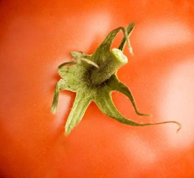 Red tomatoe texture, background , close up Stock Photos