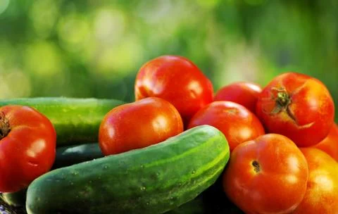 Red tomatoes and pepper Stock Photos