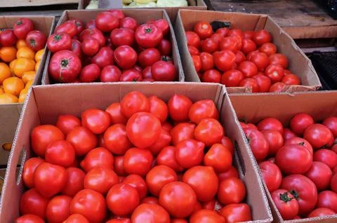 Red tomatoes are stacked in boxes at a market in the afternoon sunlight during a Фото