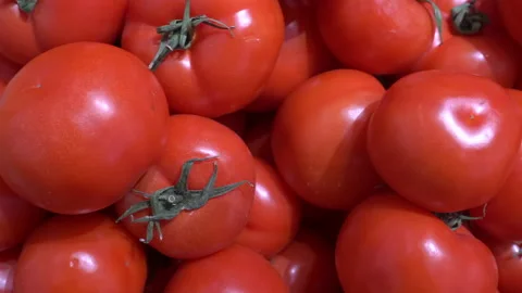 Red tomatoes background. Fresh red tomatoes on the counter of the vegetable Stock Footage 152129551