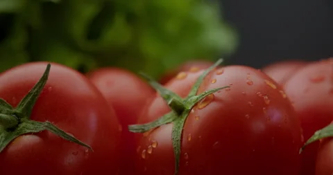 Red tomatoes on the background of green lettuce leaves 스톡 동영상 310956962