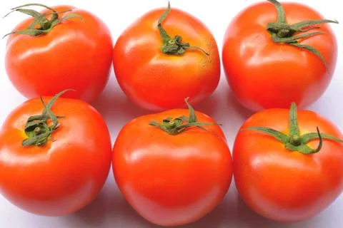Red tomatoes background. Group of tomatoes Stock Photos