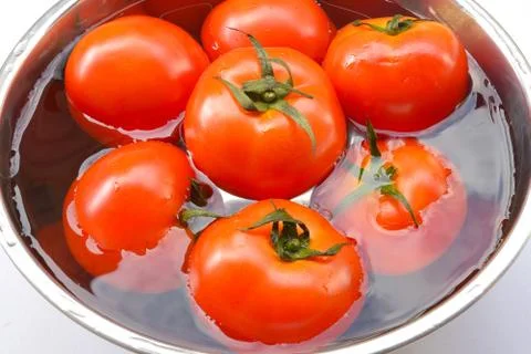 Red tomatoes background. Group of tomatoes Stock Photos