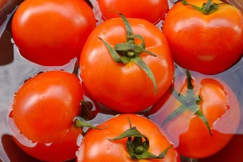 Red tomatoes background. Group of tomatoes Stock Photos