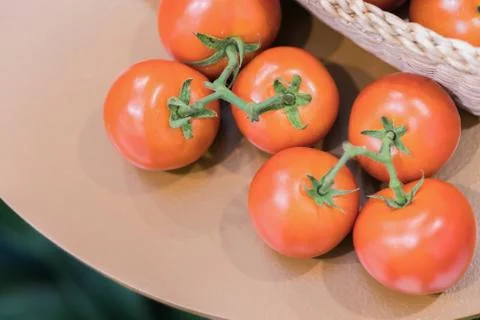 Red tomatoes background. Group of tomatoes Stock Photos
