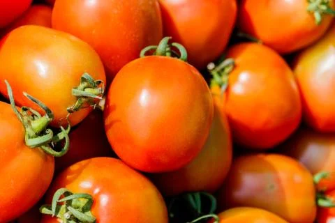 Red tomatoes background. Group of tomatoes (tomato) Stock Photos