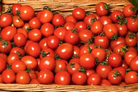 Red tomatoes background. Group of tomatoes. Stock Photos