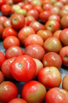 Red tomatoes background. Group of tomatoes Stock Photos
