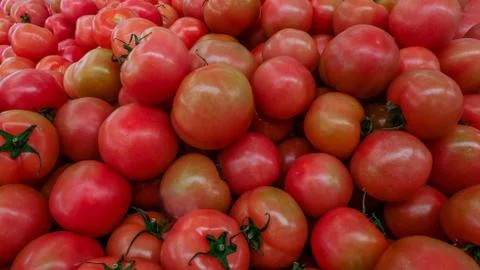 Red tomatoes background. Group of tomatoes Stock-Fotos
