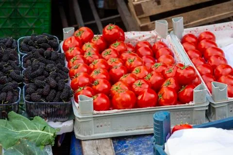 Red tomatoes background. Group of tomatoes. 스톡 사진