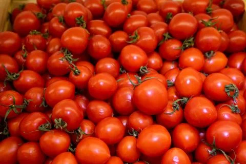 Red tomatoes background. Group of tomatoes basket box Foto stock