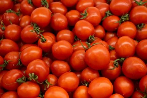Red tomatoes background. Group of tomatoes basket box Stock Photos