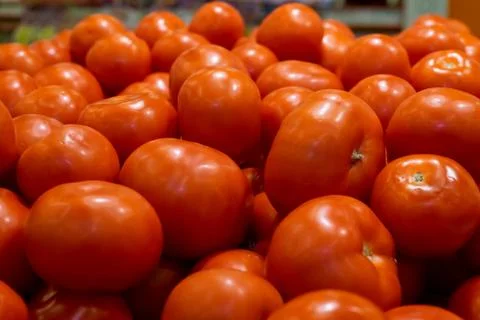 Red tomatoes background. Group of tomatoes window basket box Stock Photos