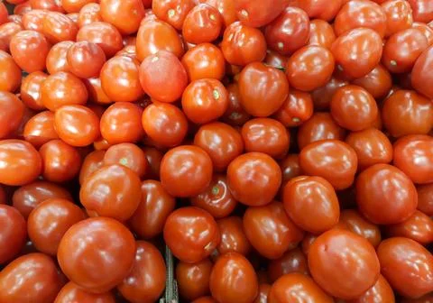 Red tomatoes background. Group of tomatoes Stock Photos