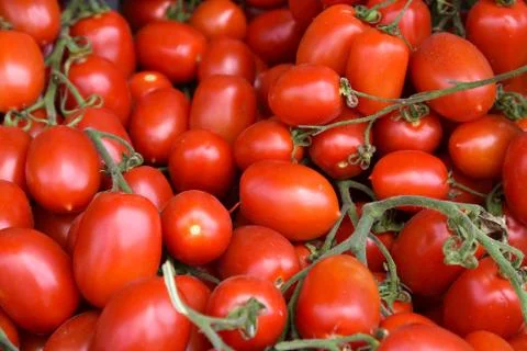 Red tomatoes background Stock Photos