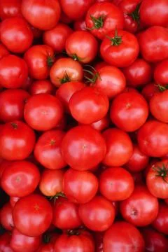 Red tomatoes background Stock Photos