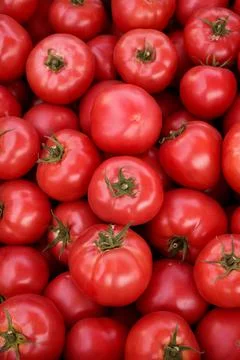 Red tomatoes background. top view. Stock Photos