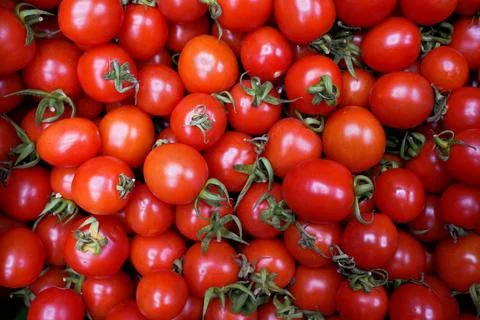 Red tomatoes background. Top view. Tomato texture. Selective focus. Stock Photos