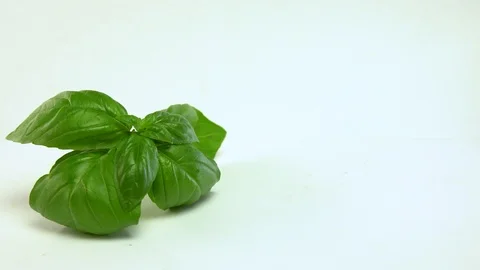 Red Tomatoes With Basil 1 Stock Footage 94445517