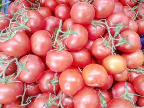 Red tomatoes in the basket Stock Photos