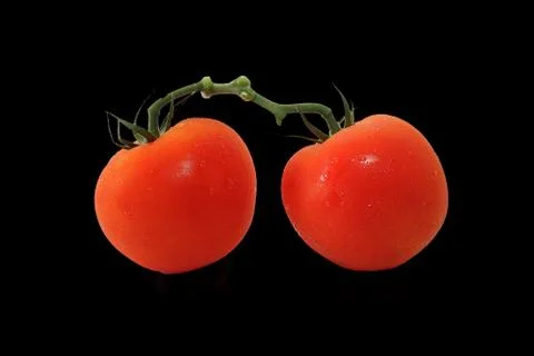 Red tomatoes on black background Stock Photos