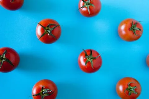 Red tomatoes on a blue background Stock Photos