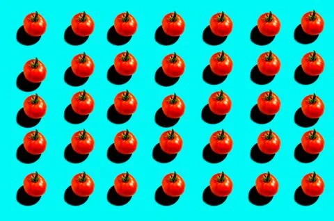 Red tomatoes on a blue background with a sharp shadow from them. Fotos Stock