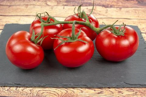 Red tomatoes on a branch close up Stock-Fotos