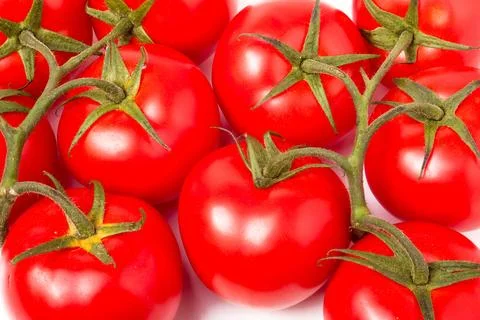 Red tomatoes on the branches as a background Stock Photos