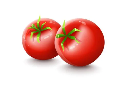 Red tomatoes. Cartoon vegetable fruit isolated vector. Illustration. Stock Illustration