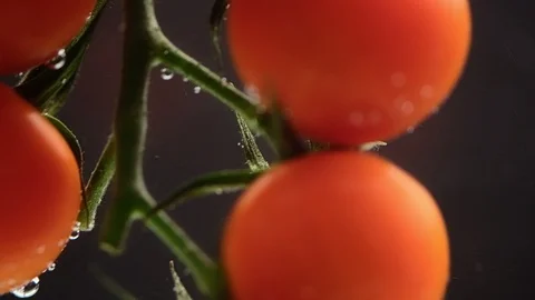 Red tomatoes cherry floating in water with bubbles against the black background. Stock Footage 109343407