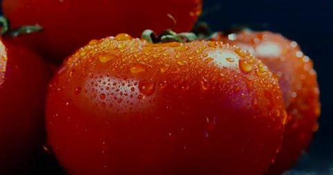 Red tomatoes close up with water drops 4K Stock Footage 130990800