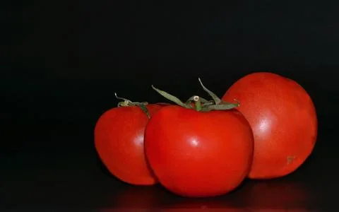 Red tomatoes on a dark background. Space for text Stock Photos