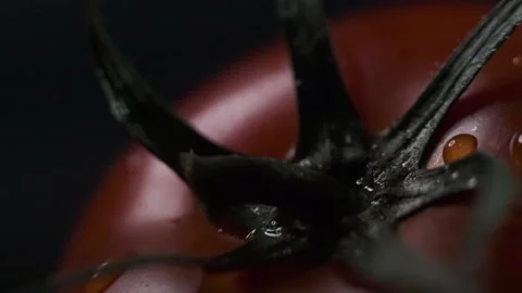 Red tomatoes with a dripping drop Stock Footage 140114834