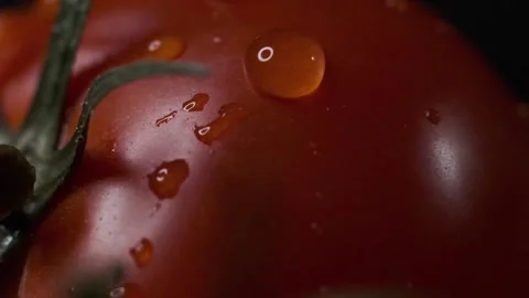 Red tomatoes with a dripping drop Stock Footage 140114913