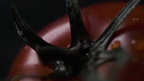 Red tomatoes with a dripping drop Stock Footage 140115011