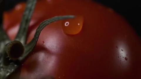 Red tomatoes with a dripping drop Stock Footage 140115076