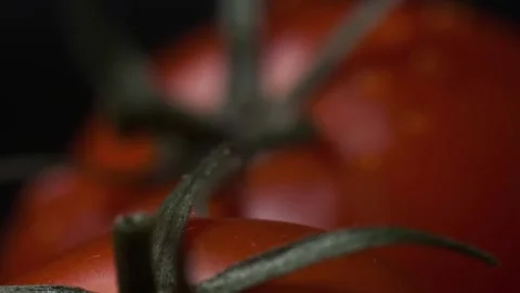 Red tomatoes with a dripping drop Stock Footage 140115197