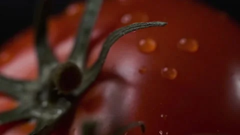 Red tomatoes with a dripping drop Stock Footage 140115339